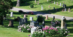 Forest Lawn Cemetery